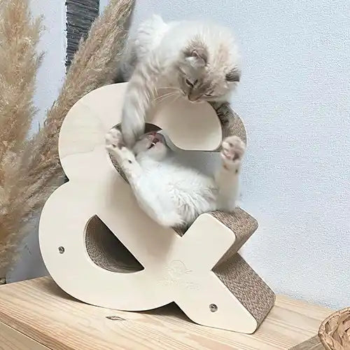 Griffoir chat Symbole esperluette &amp;