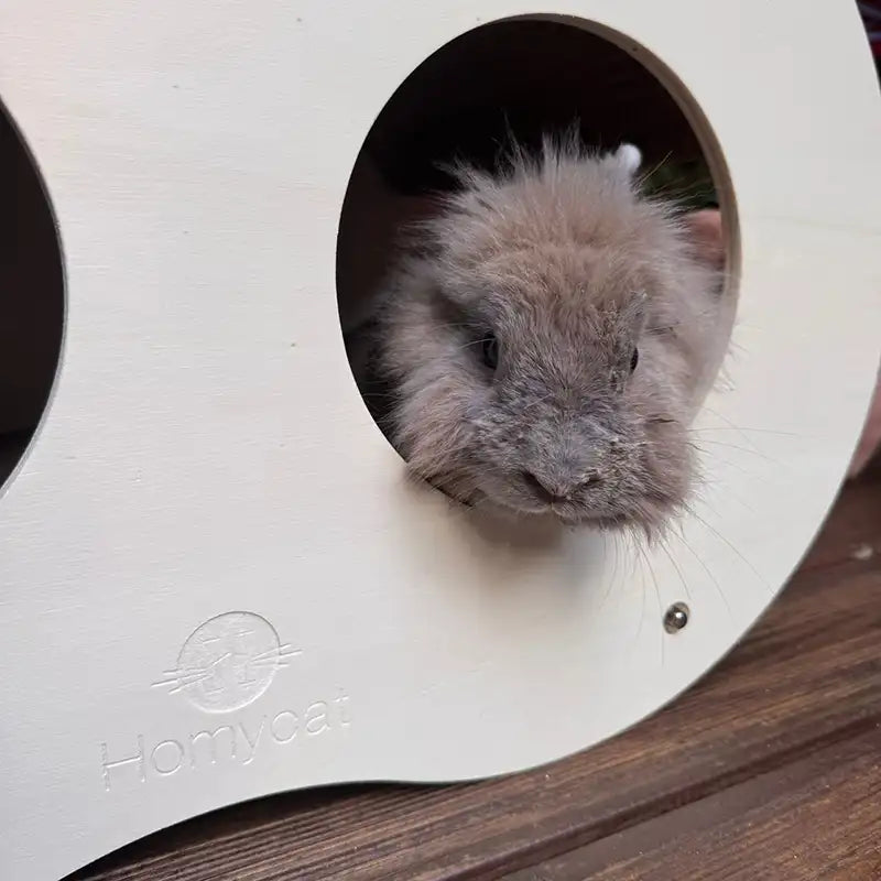 NOUVEAUTÉ - Griffoir Infini Homycat – 8 - Double vague