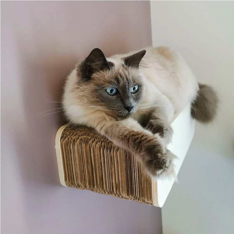 parcours-mural-chat-lettre-i-homycat-chat-mur-décoration-murale-carton-griffe-france