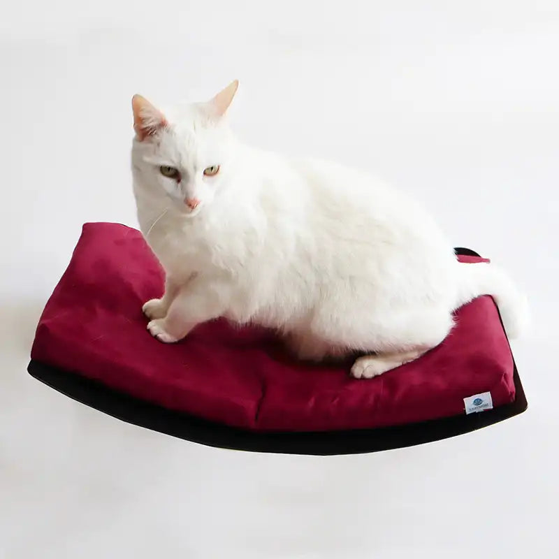 Lit mural avec coussin - Rouge Bordeau