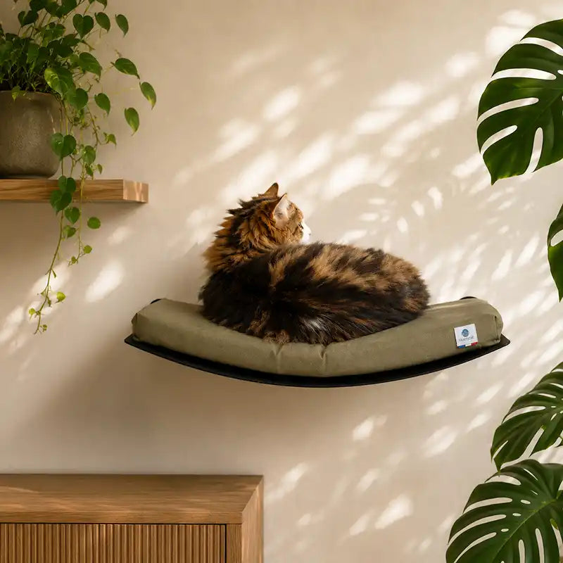 Lit hamac mural pour chats - matelas vert kaki