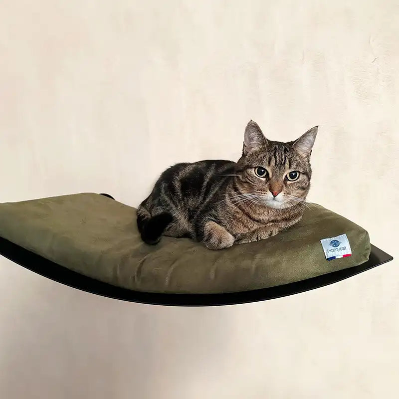 Lit hamac mural pour chats - matelas vert kaki