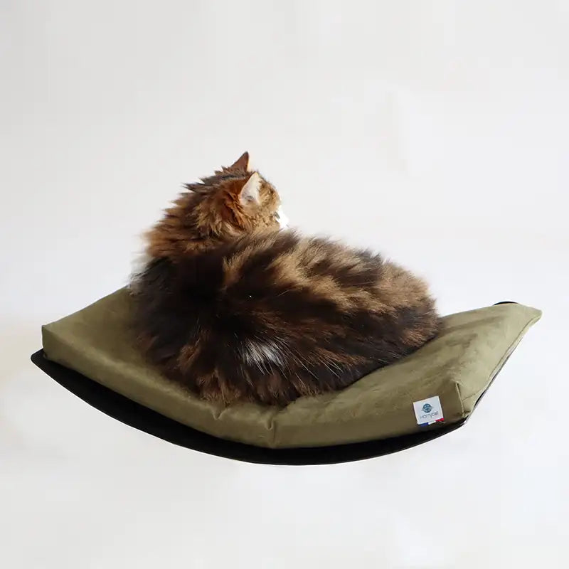 Lit hamac mural pour chats - matelas vert kaki