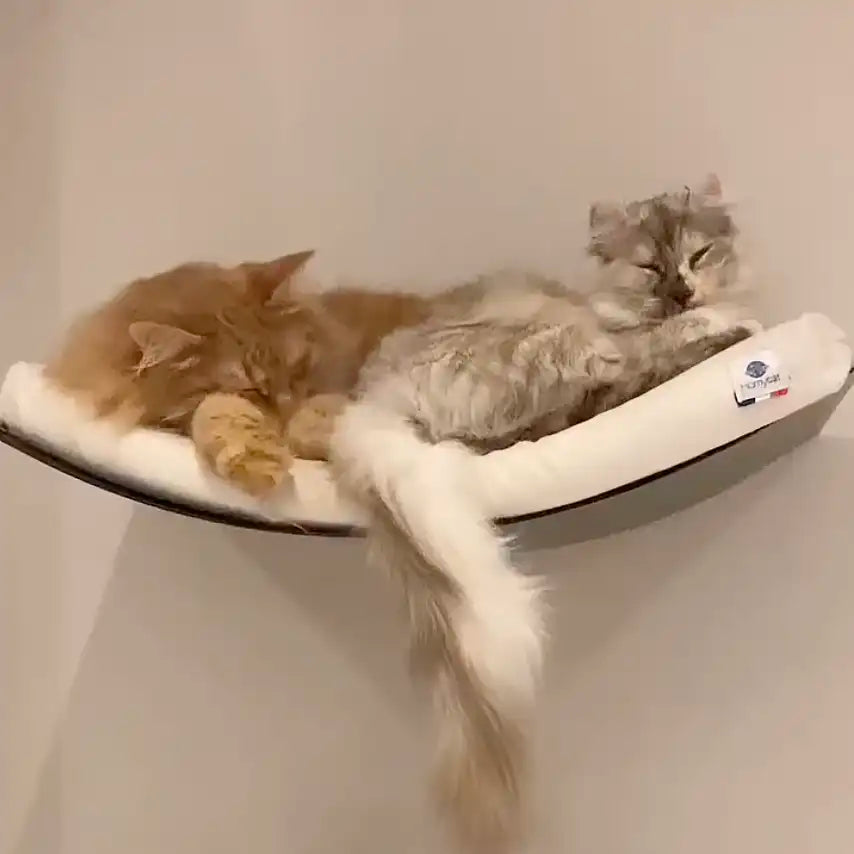 Lit hamac mural avec coussin - Ecru