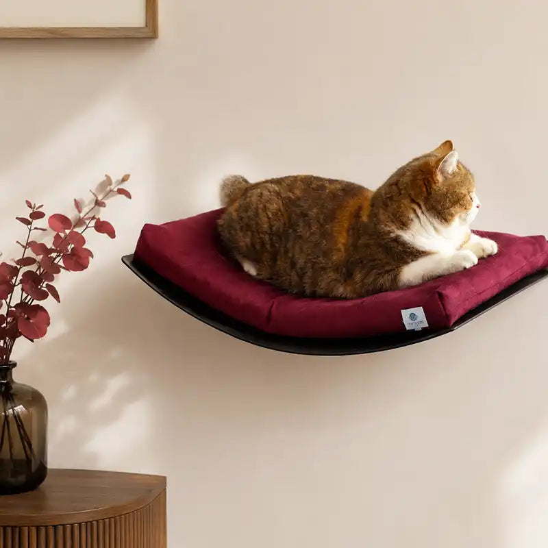 Lit mural avec coussin - Rouge Bordeau