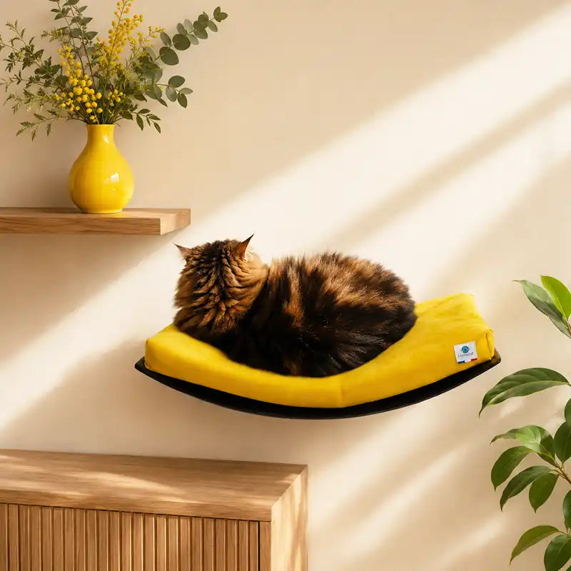 Lit mural pour chat design, aimanté et modulable – Homycat