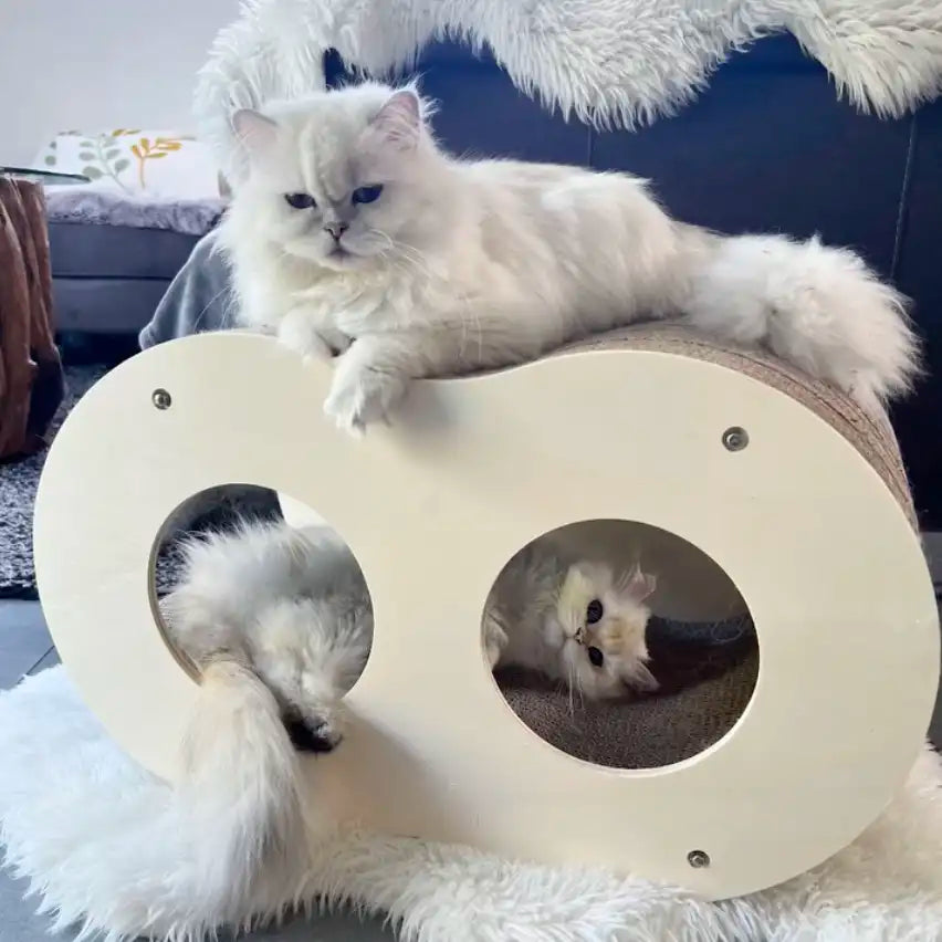 NOUVEAUTÉ - Griffoir Infini Homycat – 8 - Double vague