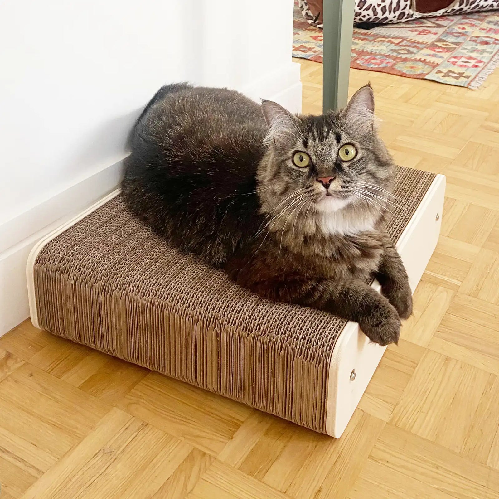 Grattoir naturel simple homycat