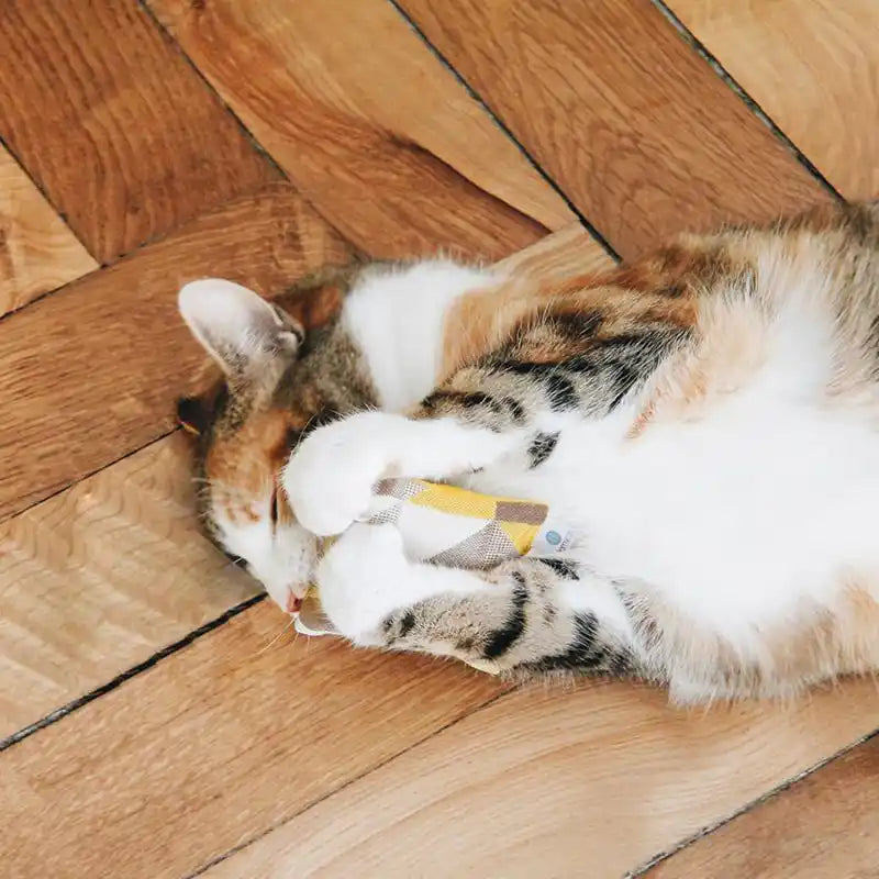 Mini-coussin - Jouet pour chat - catnip