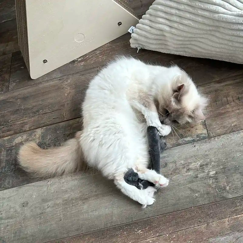 Jouet pour chat – Serpent en doudou avec cataire naturelle