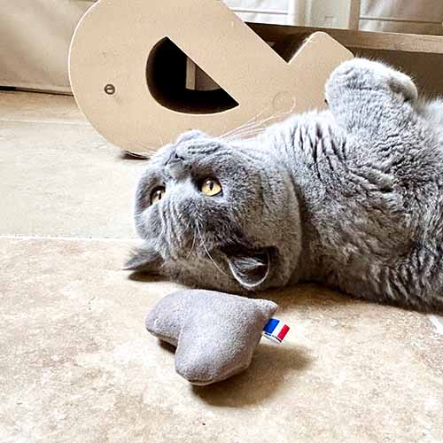 Coeur - Jouet pour chat - catnip