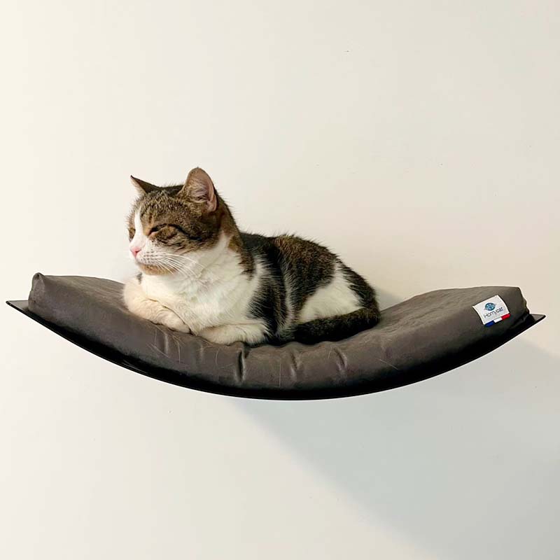 hamac design mural chat homycat coussin aimants