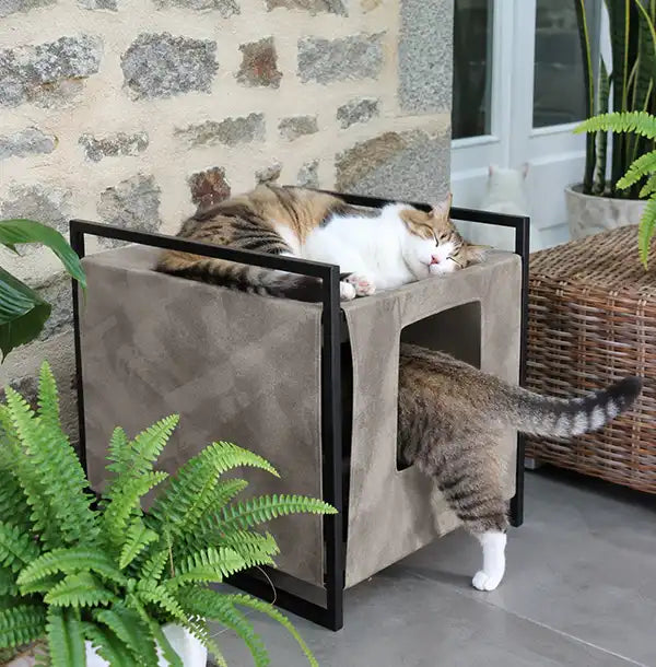 Maison de toilette Sublime - Taupe Ecrue Beige