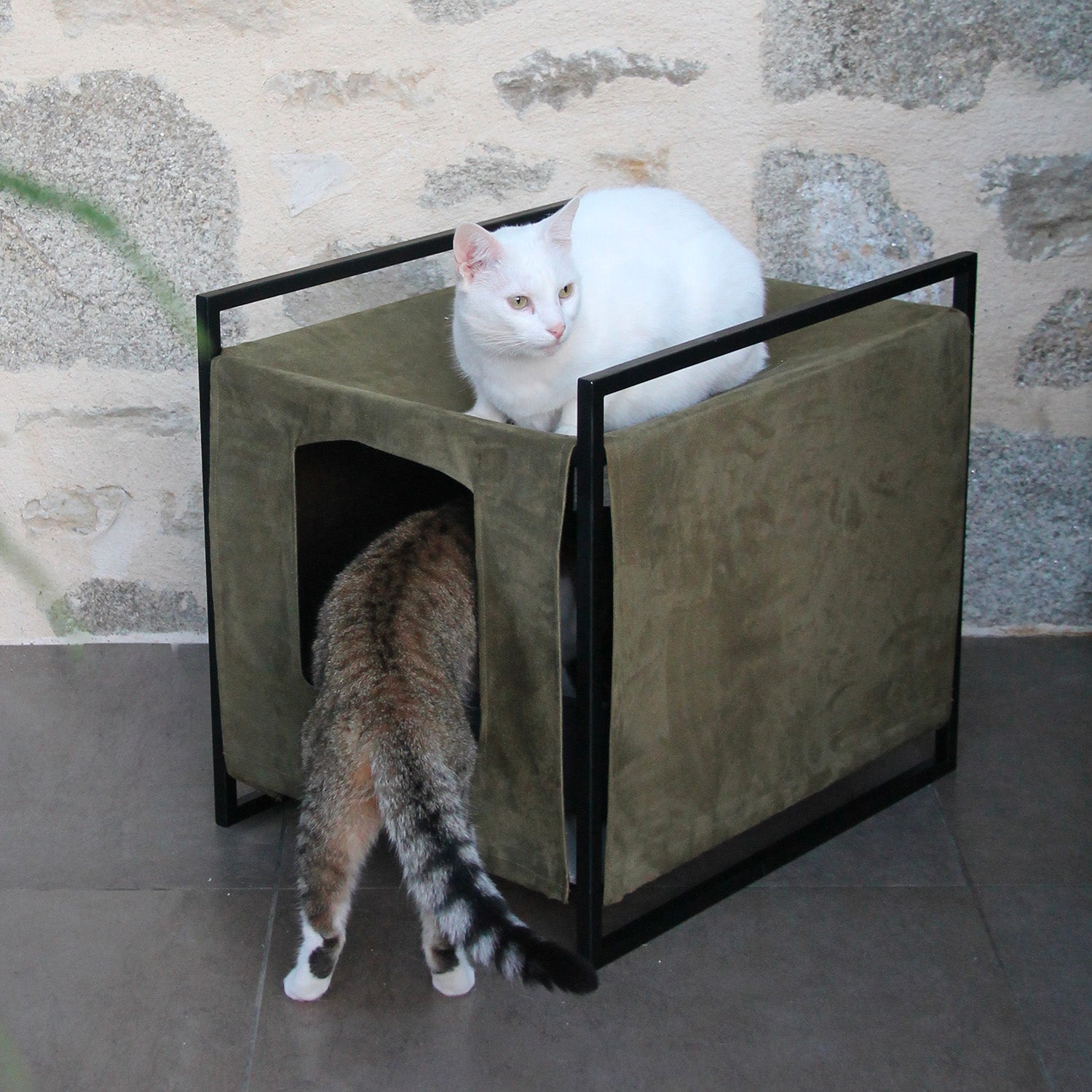 Maison de toilette bac a litiere chat vert/anthracite Douceur D'intérieur