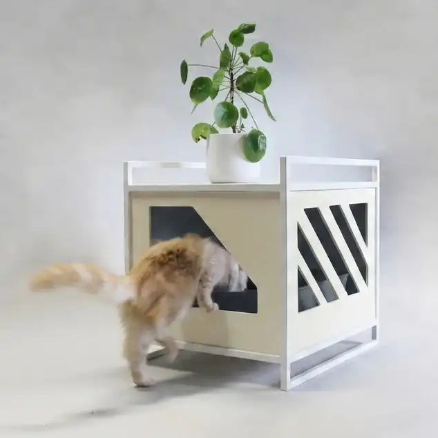 Maisons de toilette Design recommandée par les comportementalistes