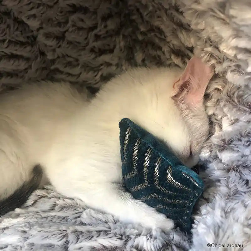 Mini-coussin - Jouet pour chat - catnip