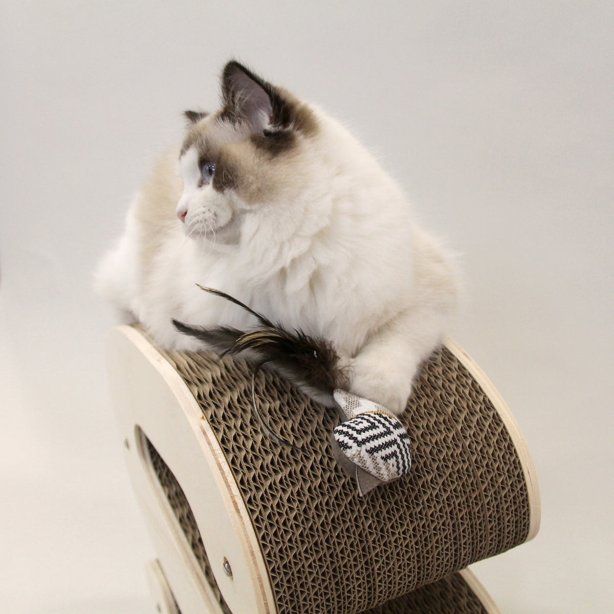 Pack Animaux - 3 x Jouets Animaux pour chats (Poisson + Souris + Oiseau)