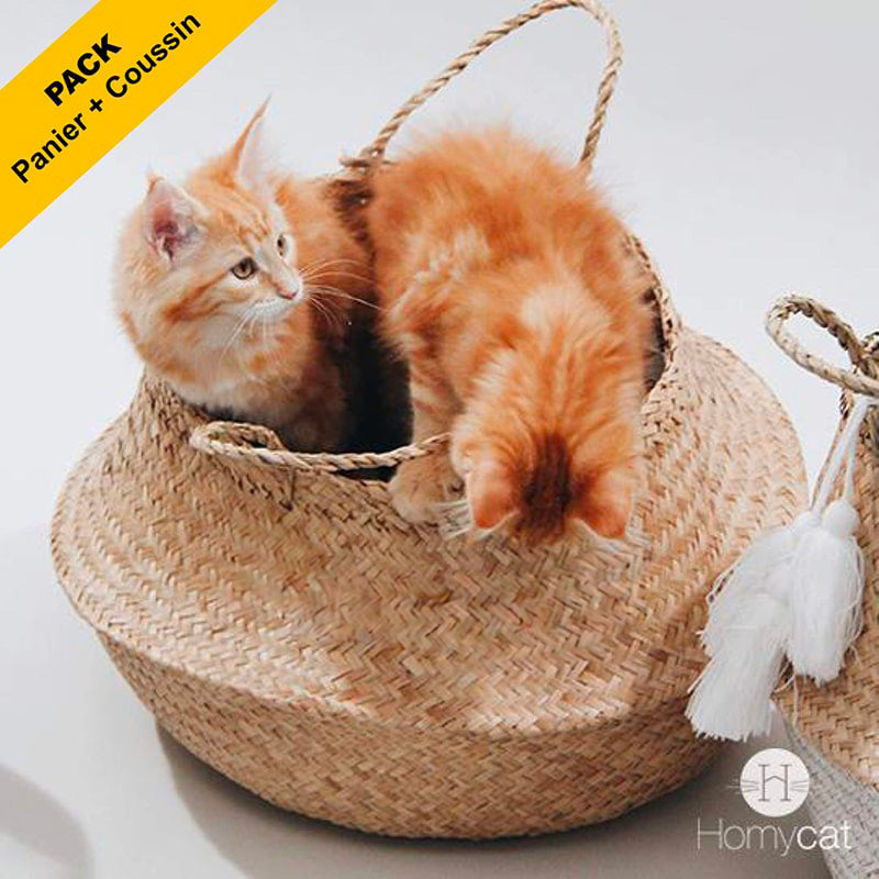 Pack : Panier Naturel + Coussin