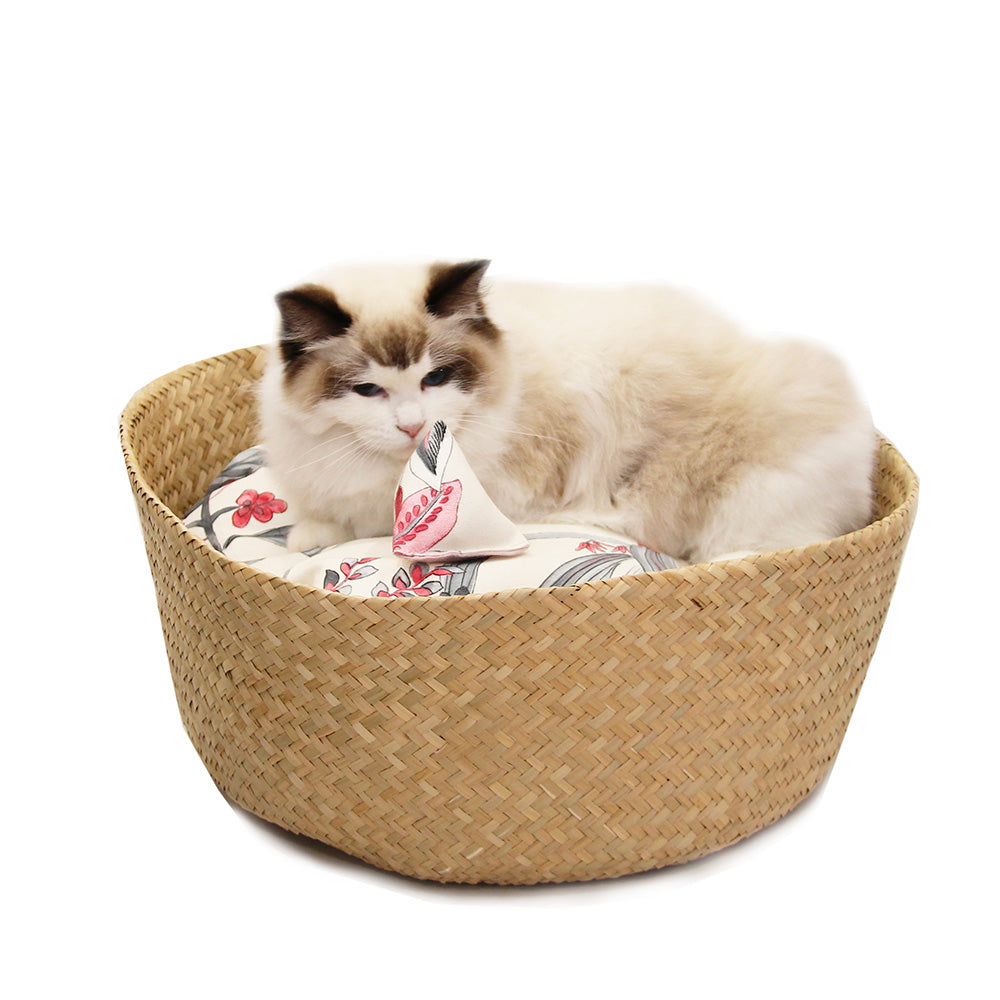 Pack : Panier Naturel + Coussin