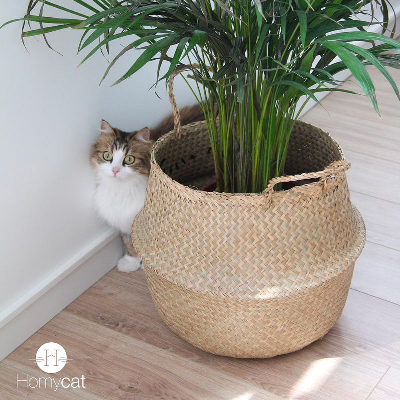 Pack : Panier Naturel + Coussin