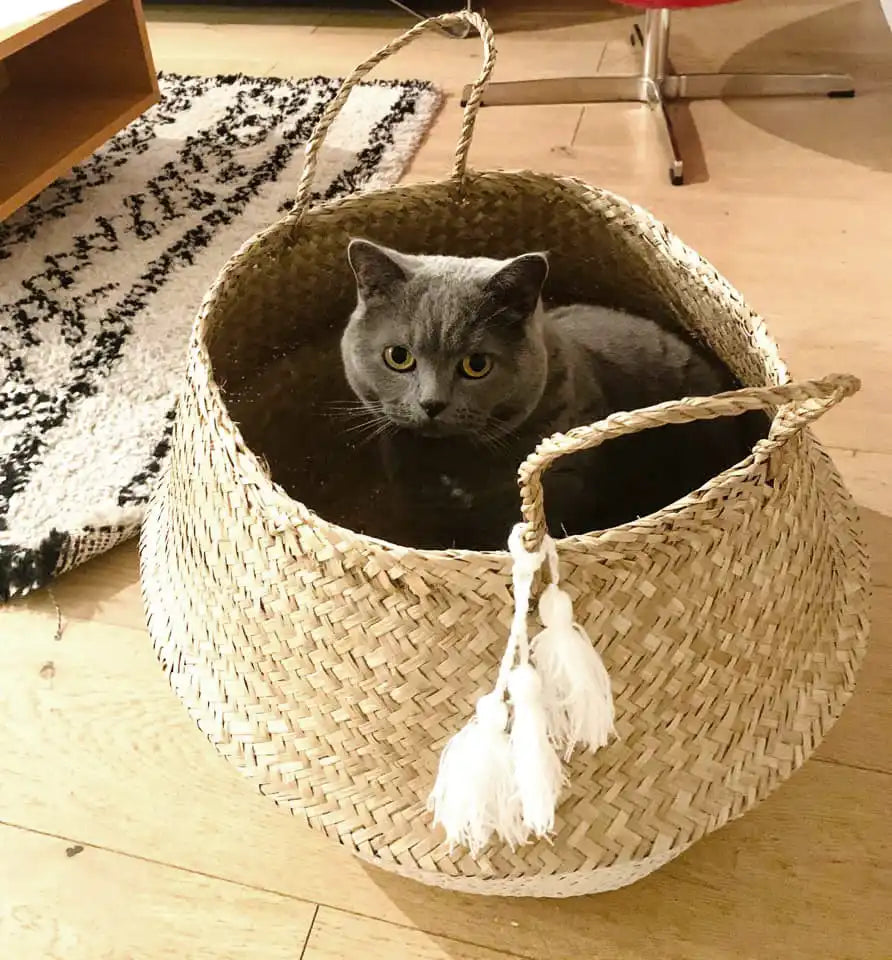 panier-bicolor-blanc-naturel-chat-pompons-cachette-cacoonong-grand-jonc-homycat