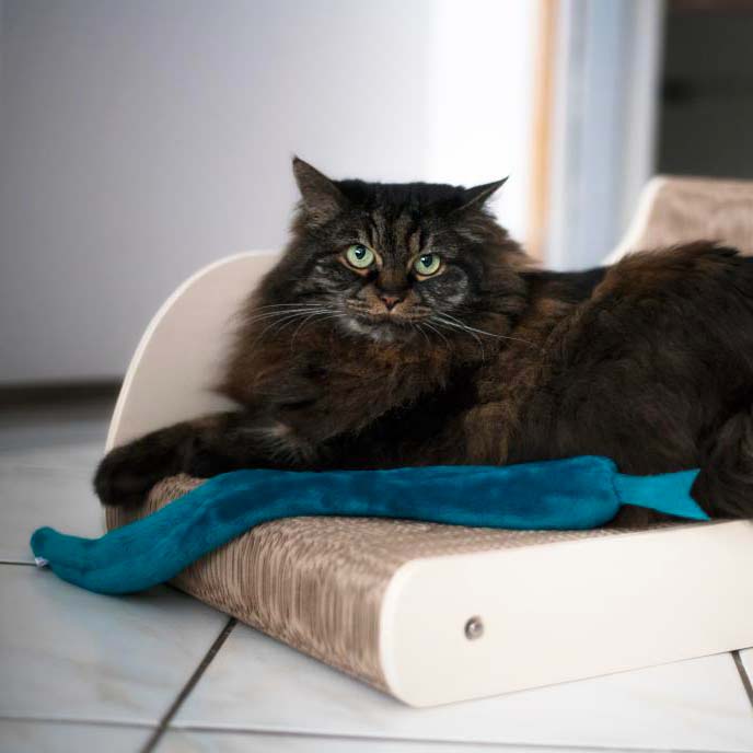 Jouet pour chat – Serpent en doudou avec cataire naturelle