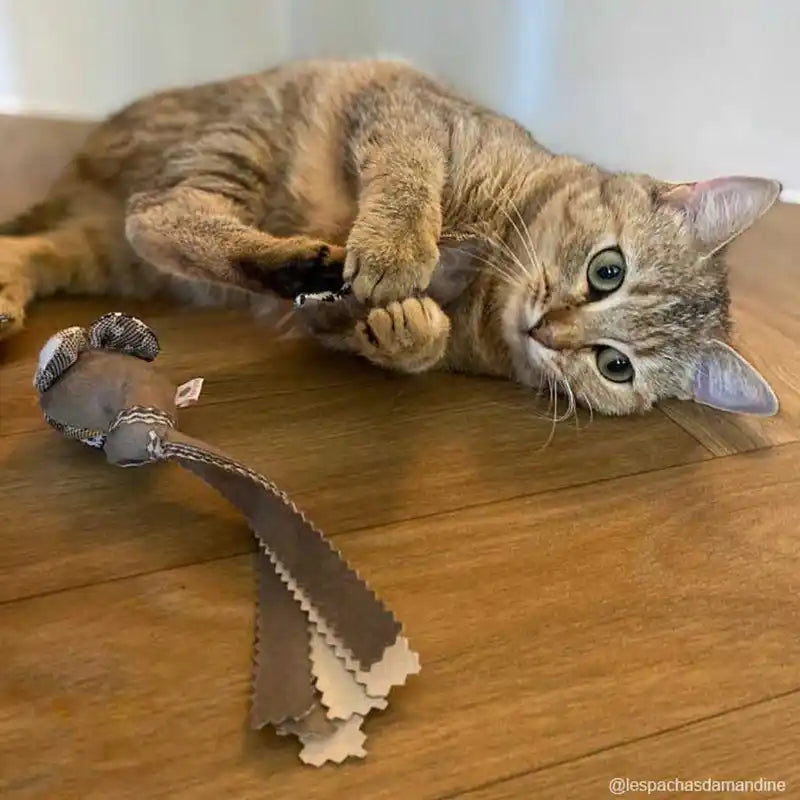 Souris - Jouet pour chat - catnip