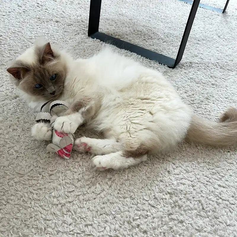 Souris - Jouet pour chat - catnip