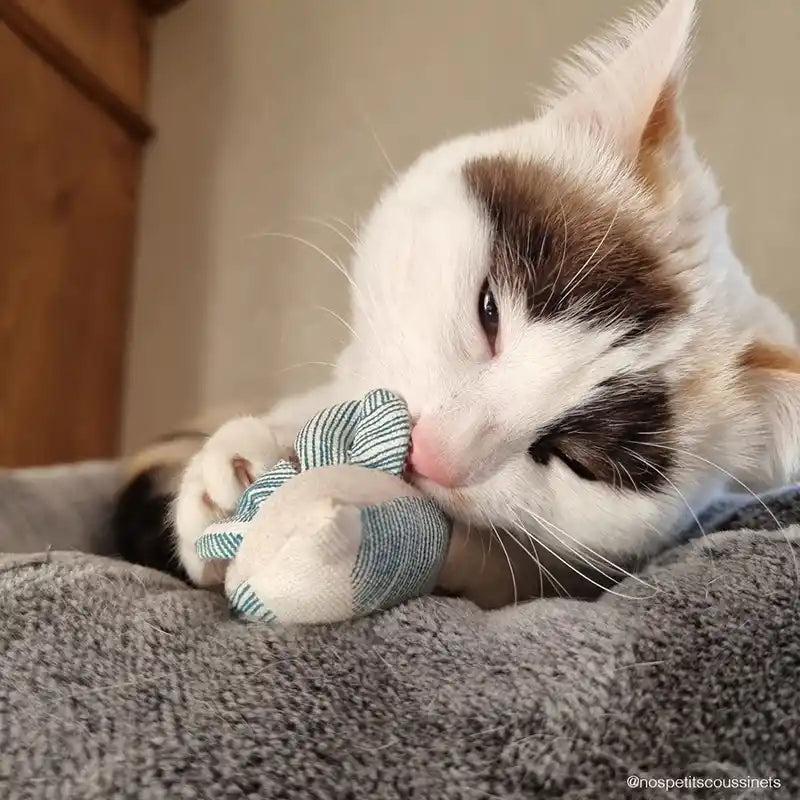 Souris - Jouet pour chat - catnip