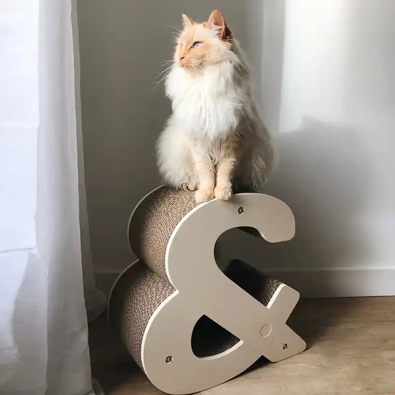 Griffoir Symbole &amp; - esperluette XL