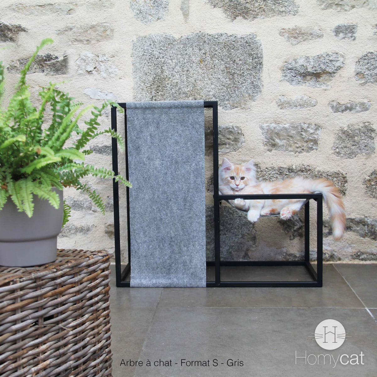 Abre à chat Elegance S gris de chez Homycat, un chat dors dans le panier