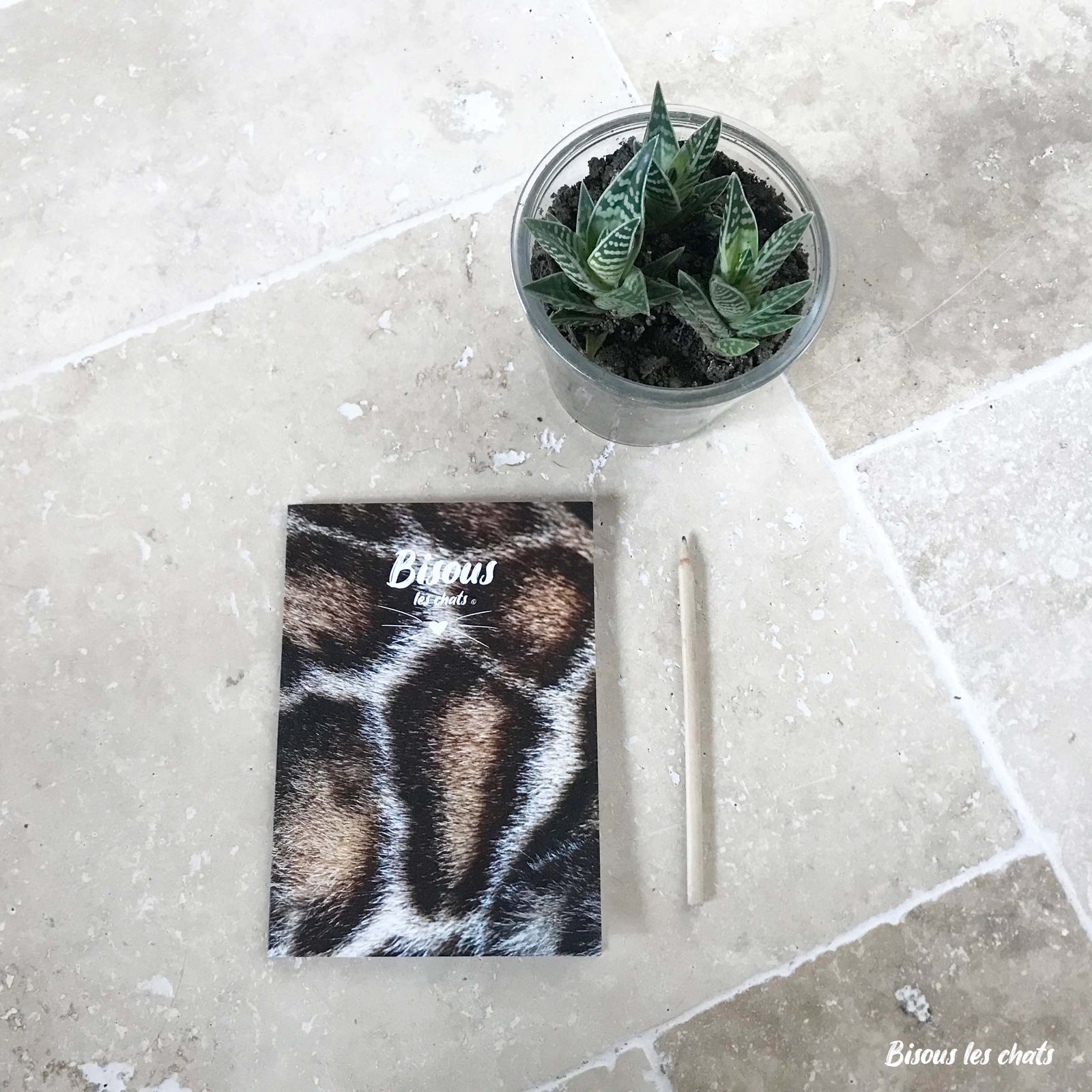 Je prends les 13 pelages des Carnets au poil - Bisous les chats