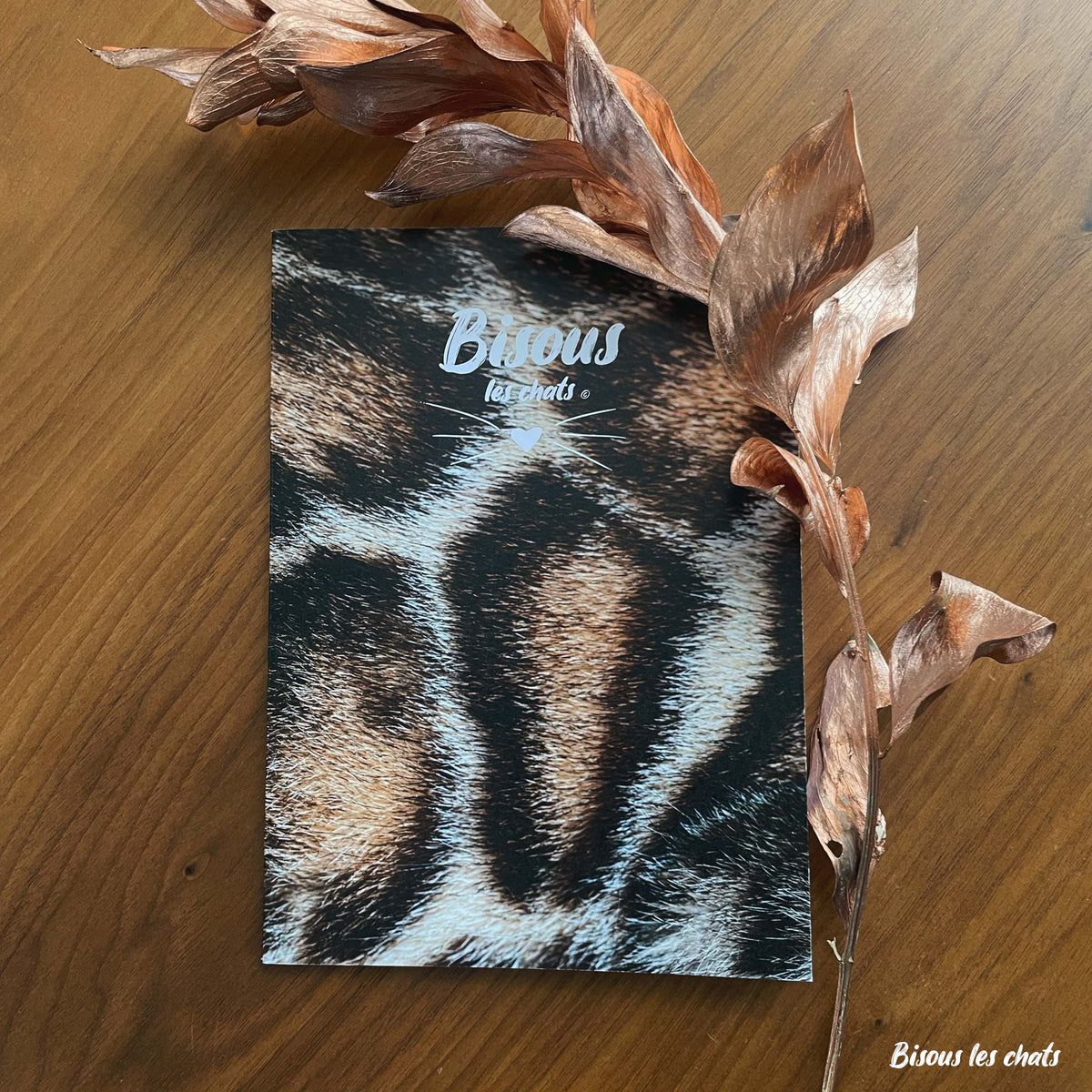 Carnet au poil pelage chat bengal de Homycat