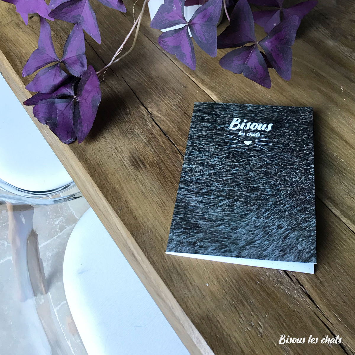 Pack de 2 Carnets - Bisous les chats - Pelage chat blue gris