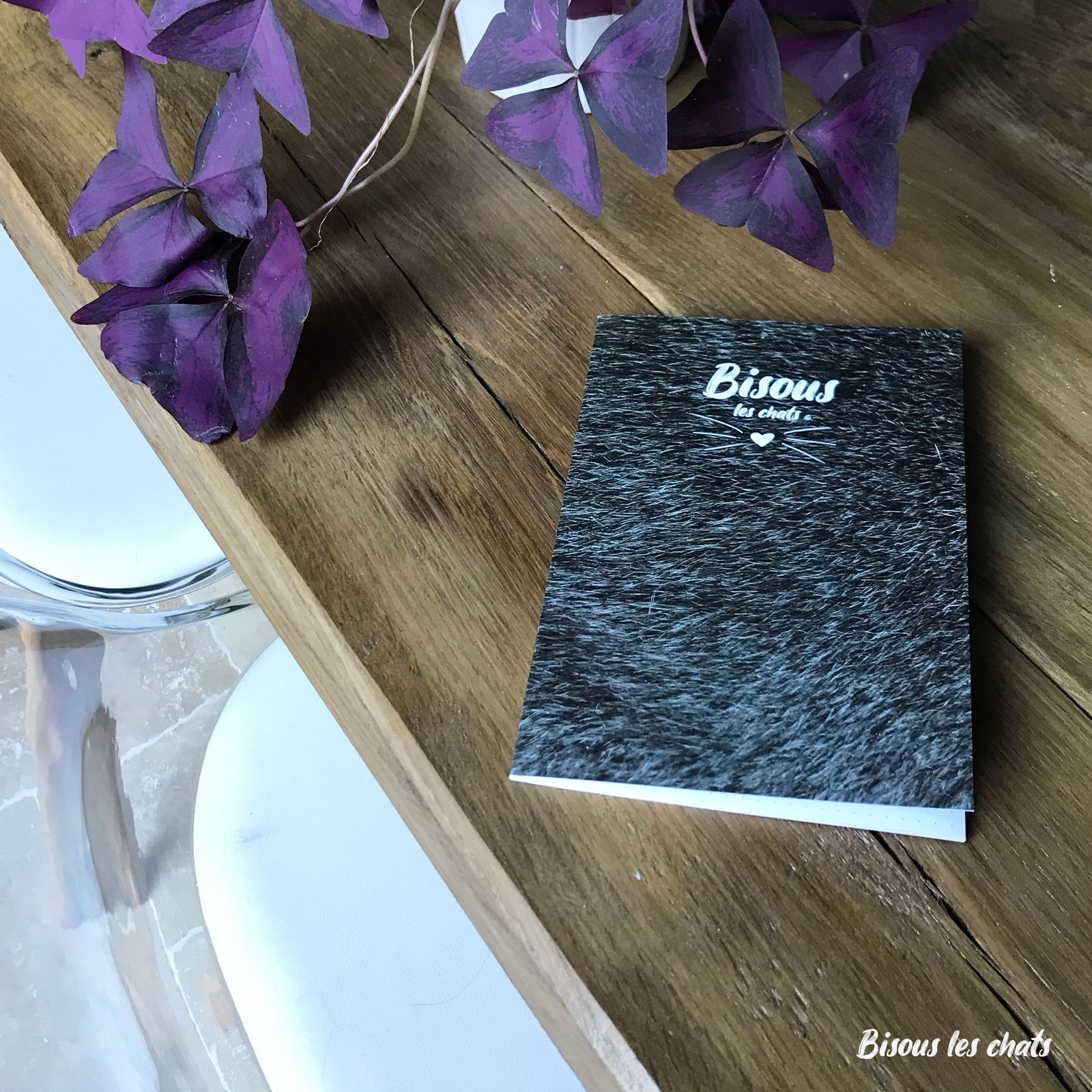 Pack de 2 Carnets - Bisous les chats - Pelage chat blue gris