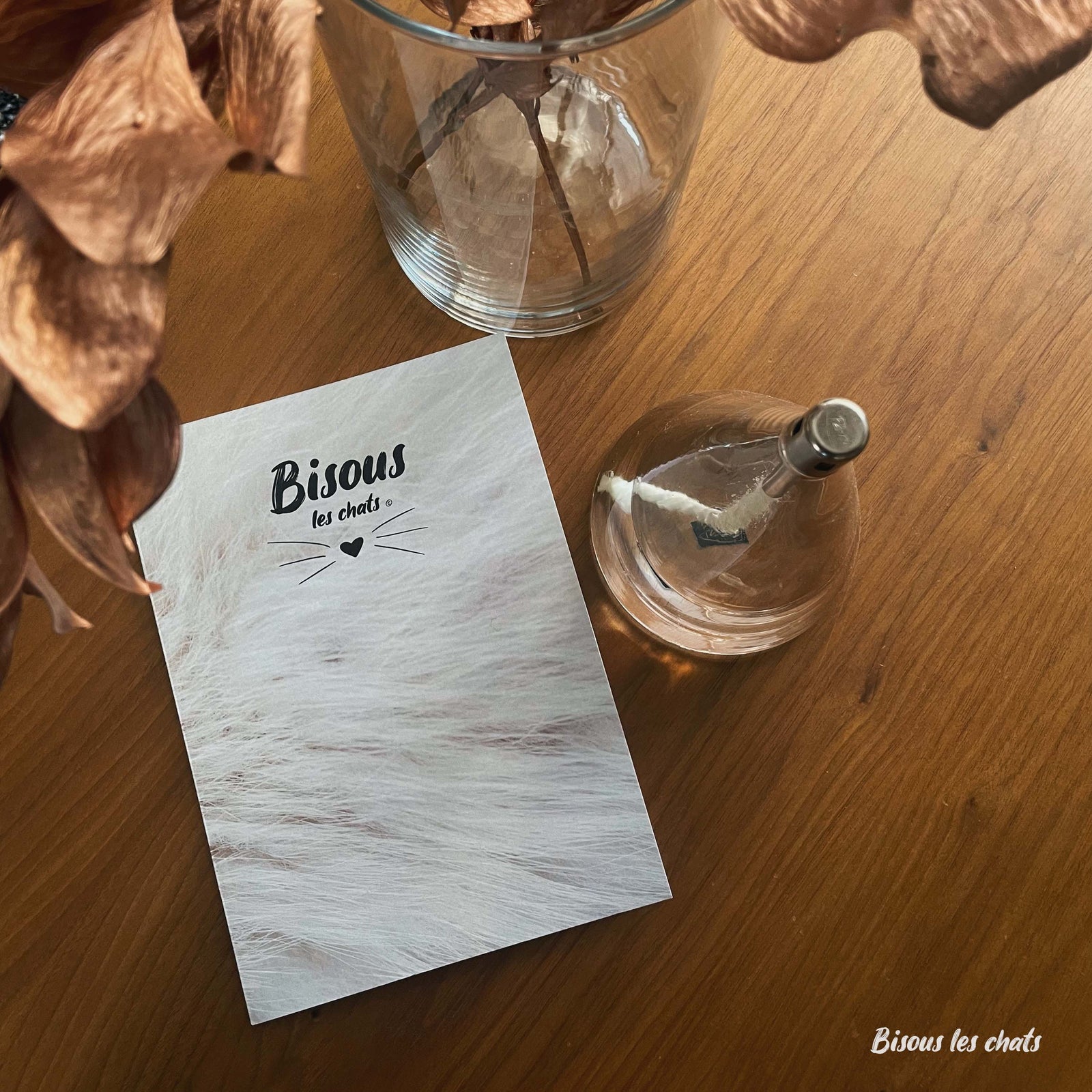 Carnet motif Pelage chat blanc crème de chez Homycat