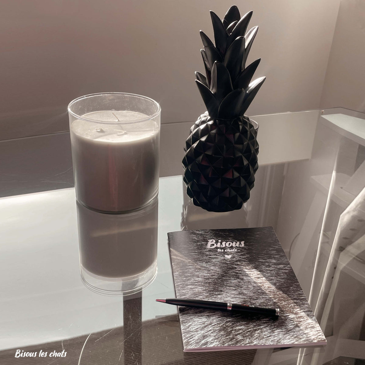 Carnet motif pelage chat gris tigré de chez Homycat