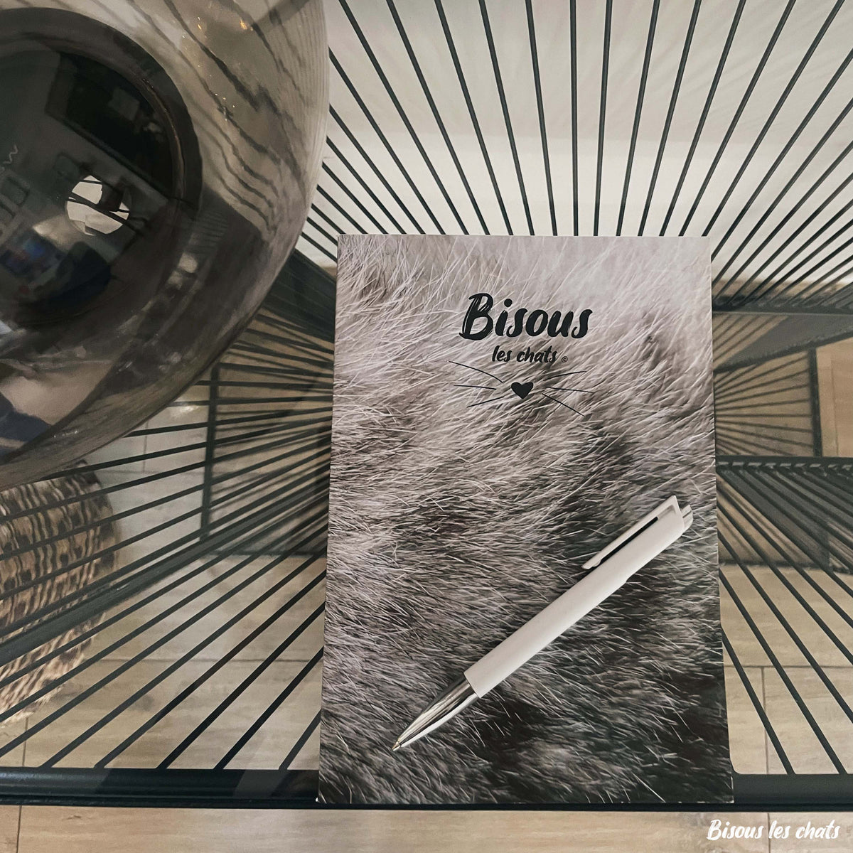 Carnet pelage chat blanc gris de chez Homycat