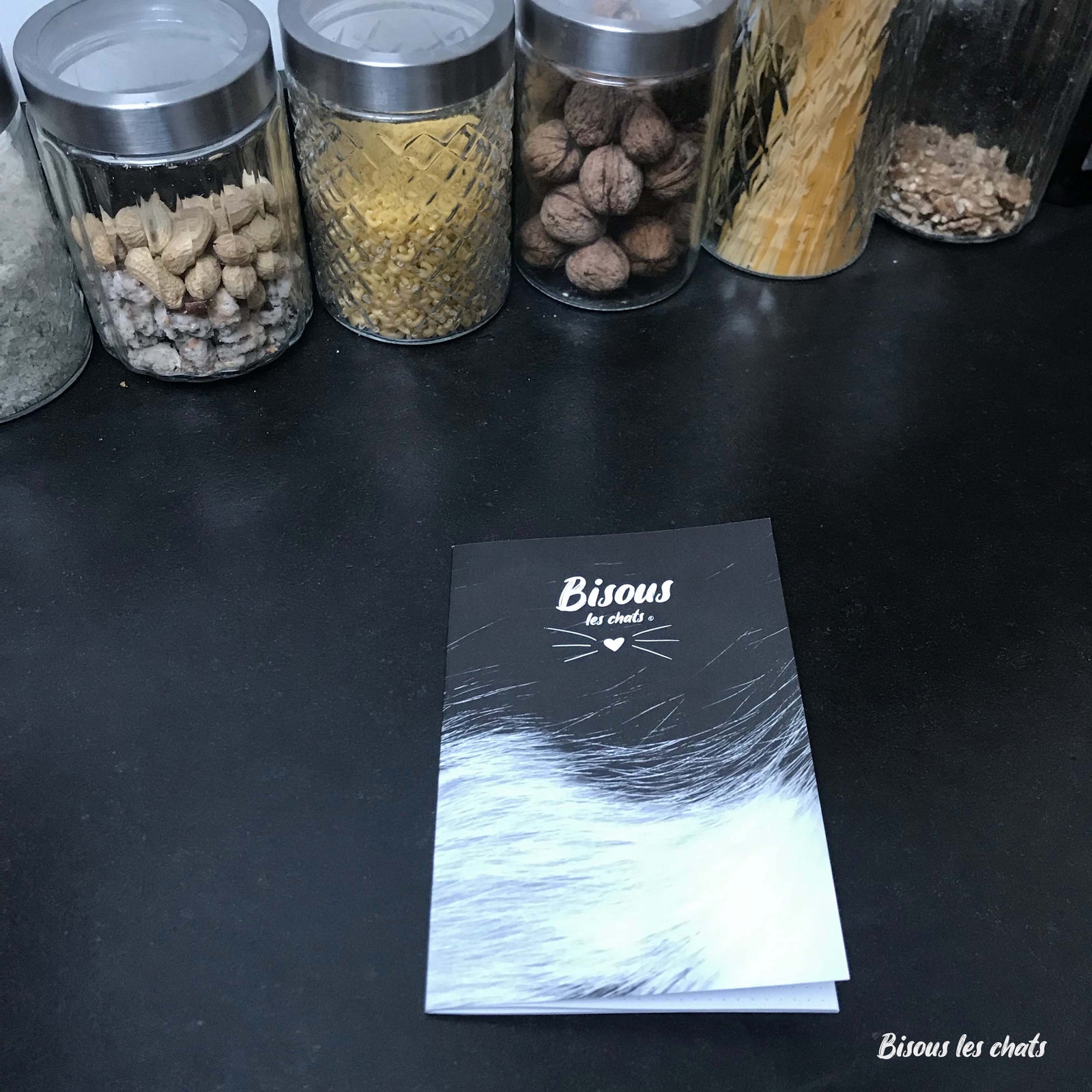 Carnet motif pelage chat noir et blanc de chez Homycat