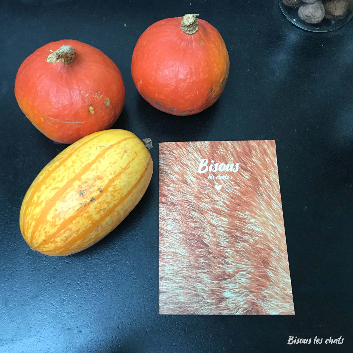 Pack de 2 Carnets - Bisous les chats - Pelage chat roux