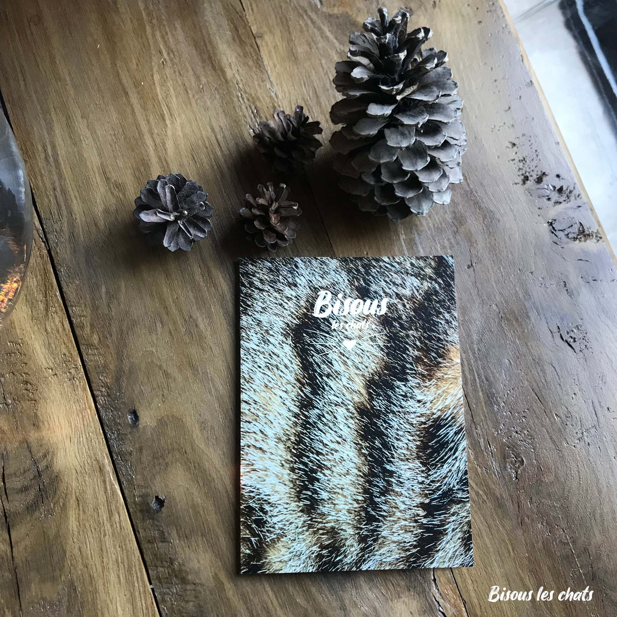 Carnet motif pelage chat tigré de chez Homycat