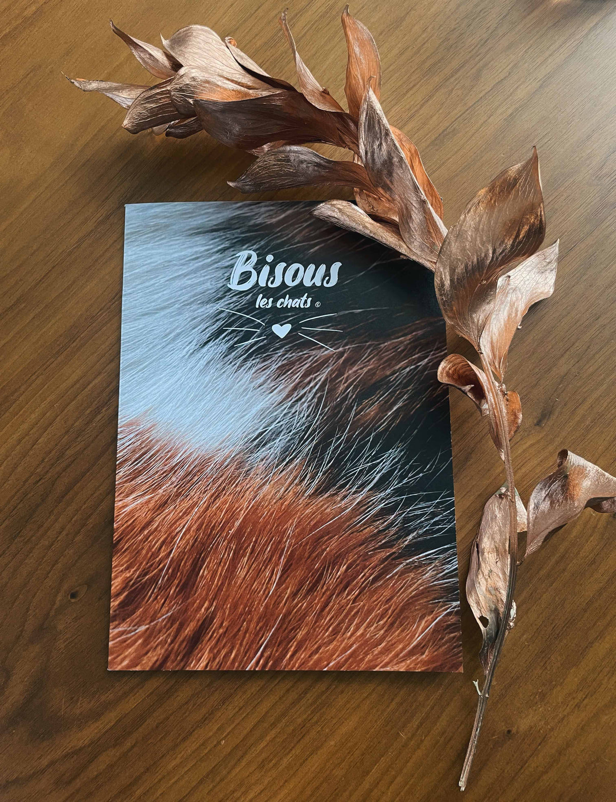 Carnet motif pelage chat tricolore de chez Homycat