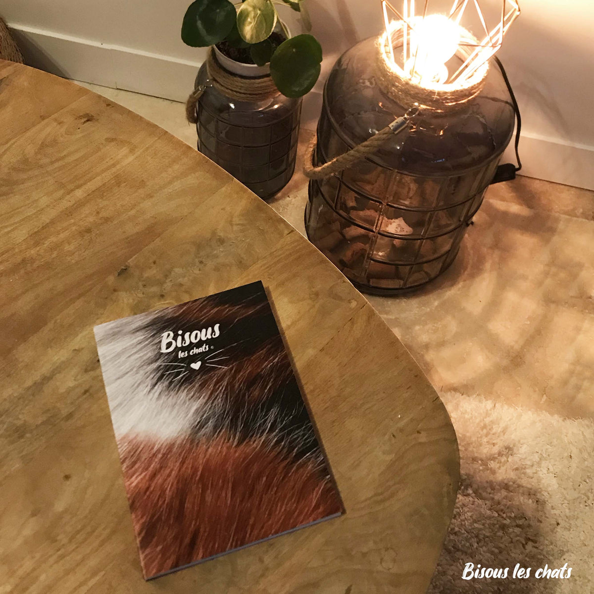 Carnet motif pelage chat tricolore de chez Homycat