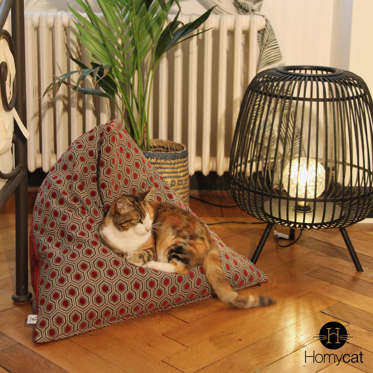 Chat qui dors sur un berlingot Griotte Hexagones de chez Homycat