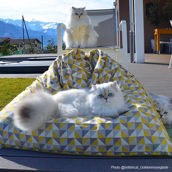 Chat dormant sur un berlingot triangle jaune de chez Homycat