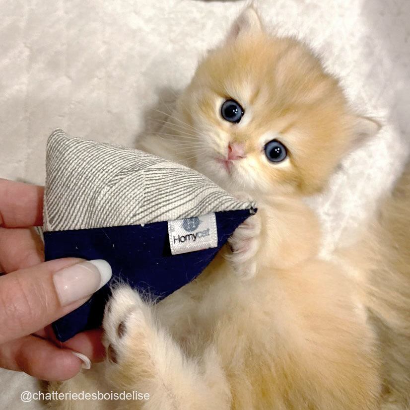 Pack Bonne Affaire - 1 Jouet Poisson + 1 Jouet Berlingot + 1 Jouet mini Coussin