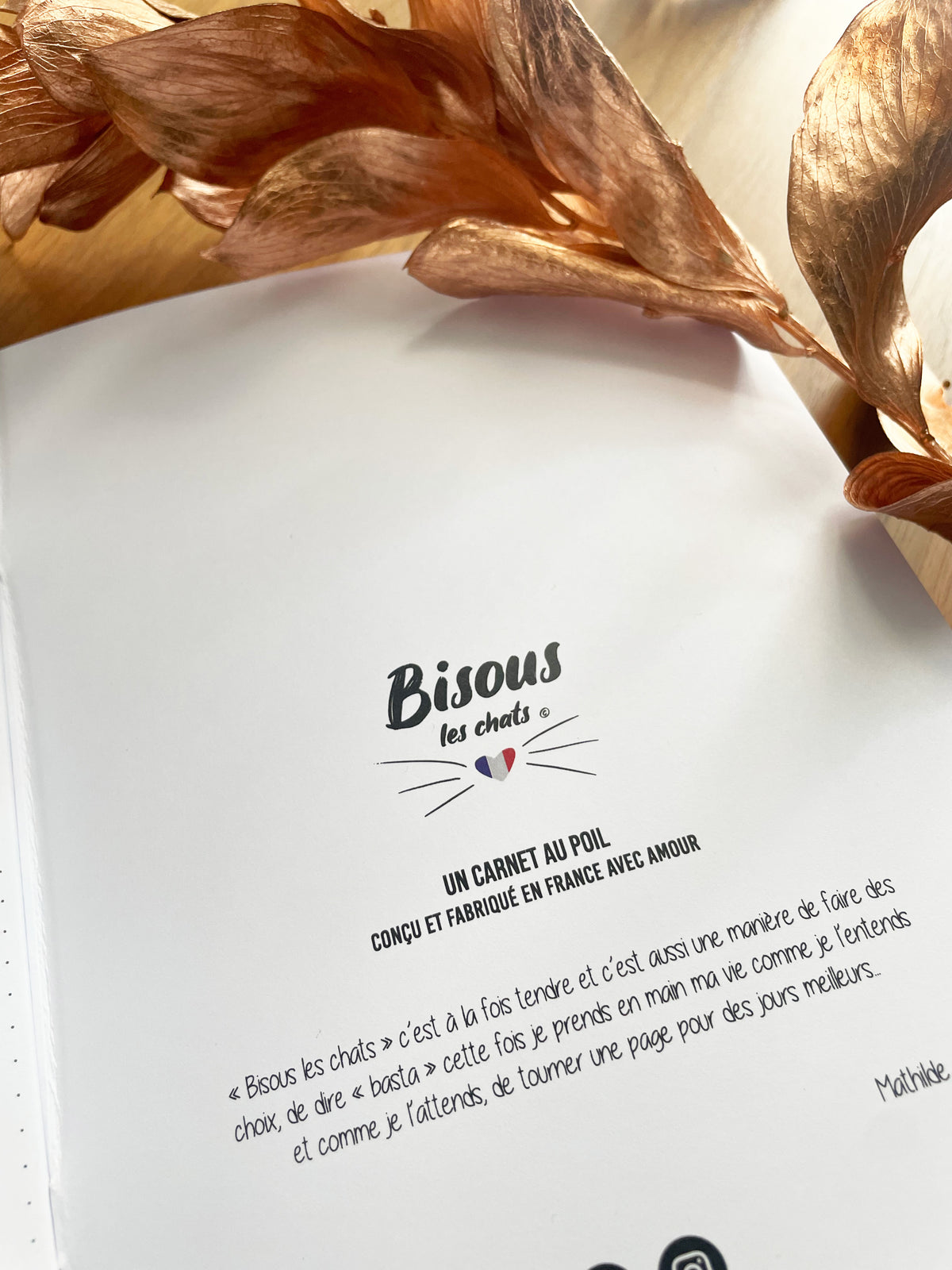 Pack de 2 Carnets - Bisous les chats - Pelage chat roux