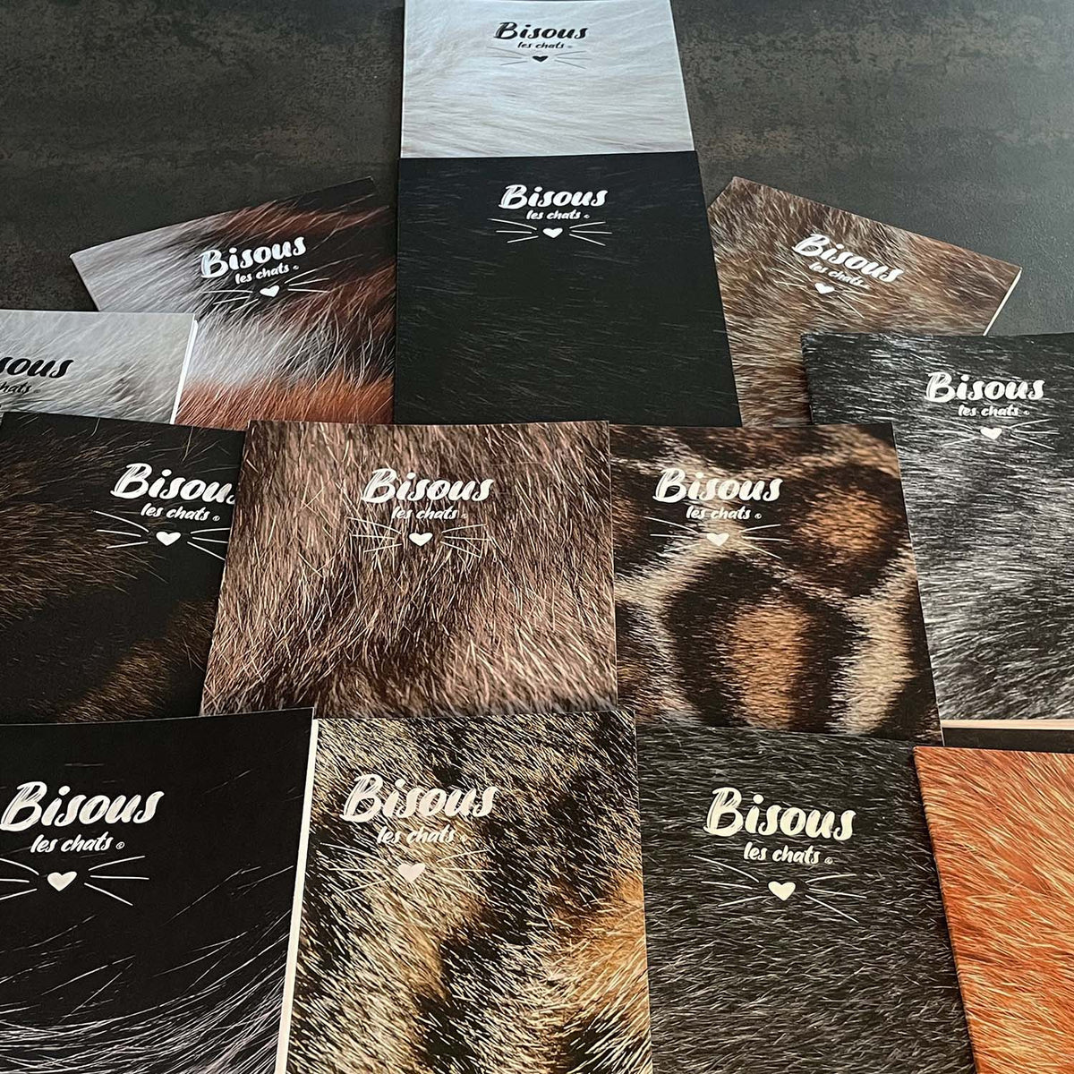 Je prends les 13 pelages des Carnets au poil - Bisous les chats
