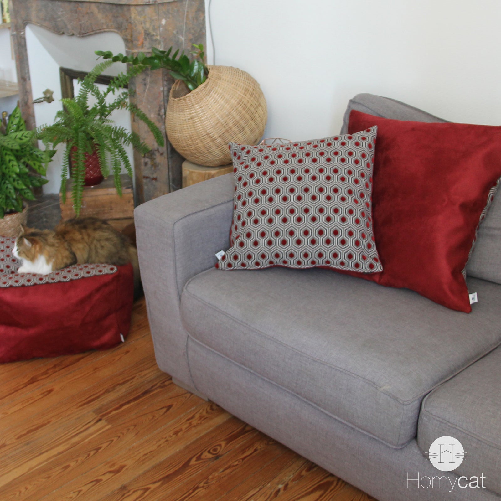 couchage-coussin-chat-housse-salon-canapé