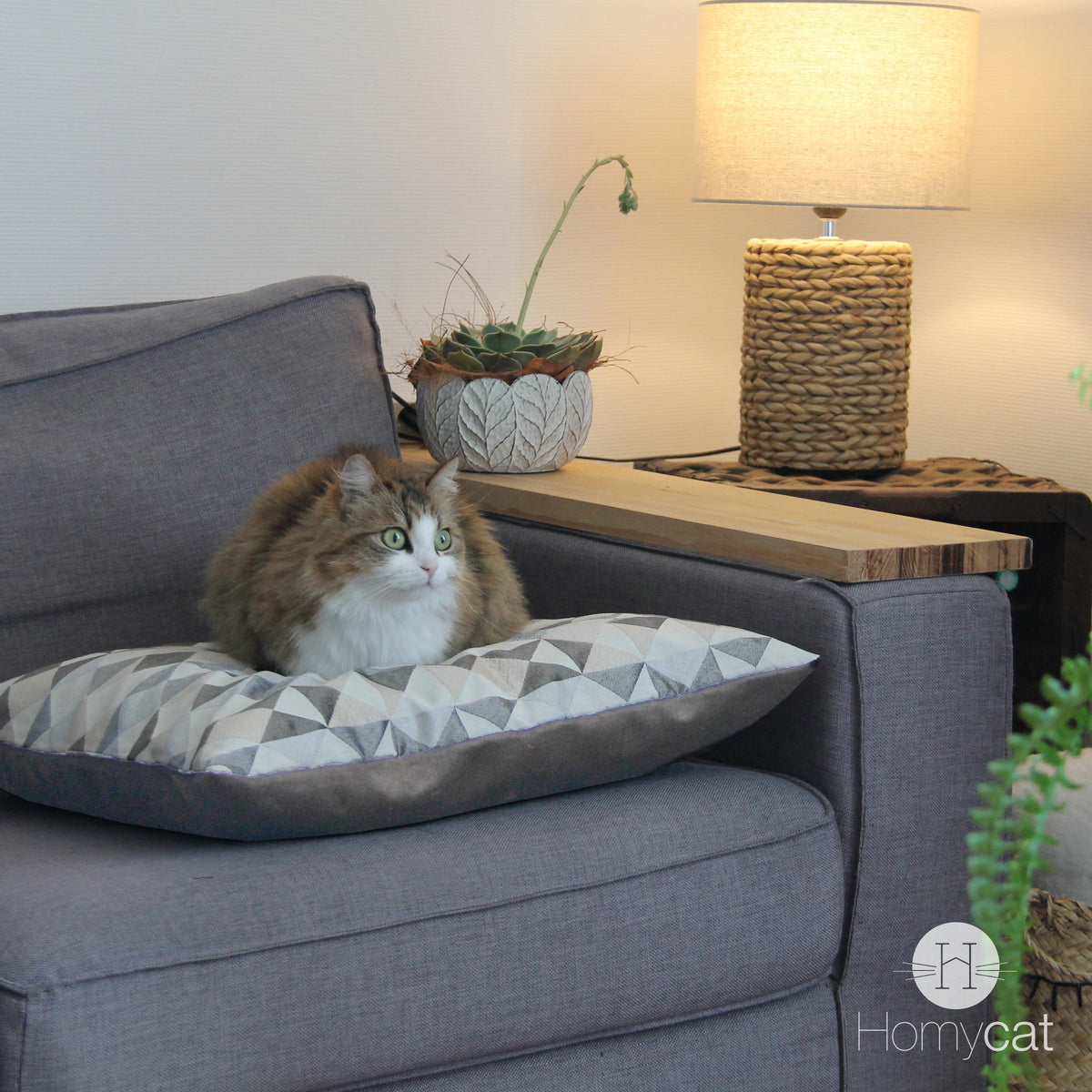 Chat allongé sur un coussin XL triangle et taupe de chez Homycat